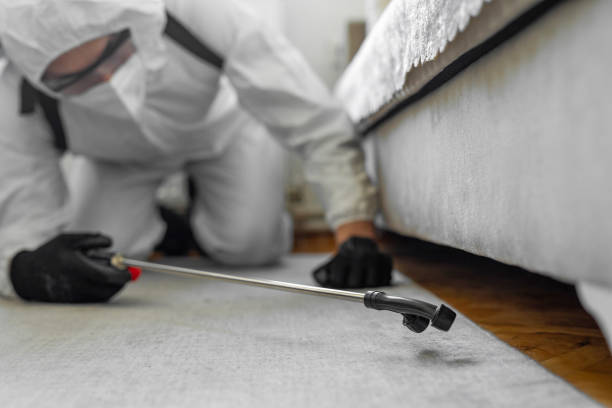 Professional Bed Bug Control technician working in Hackleburg, AL