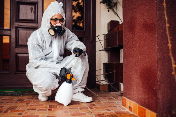 Reliable Bed Bug Control contractor in Hackleburg, AL by Nex Pest Control